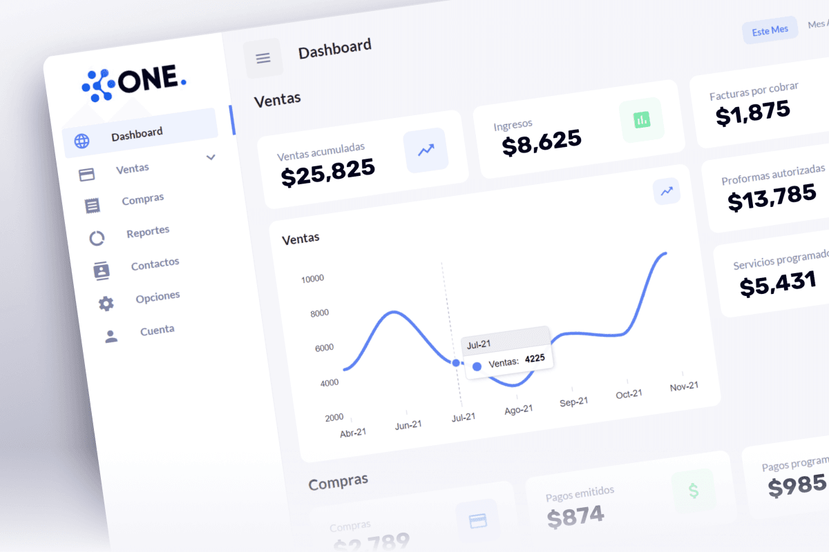Desarrollo de SAAS personalizado enfocado en PYMES
